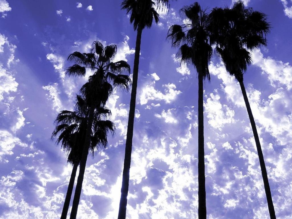 Parker Palm Springs Hotel Екстериор снимка