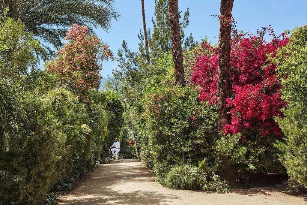 Parker Palm Springs Hotel Екстериор снимка